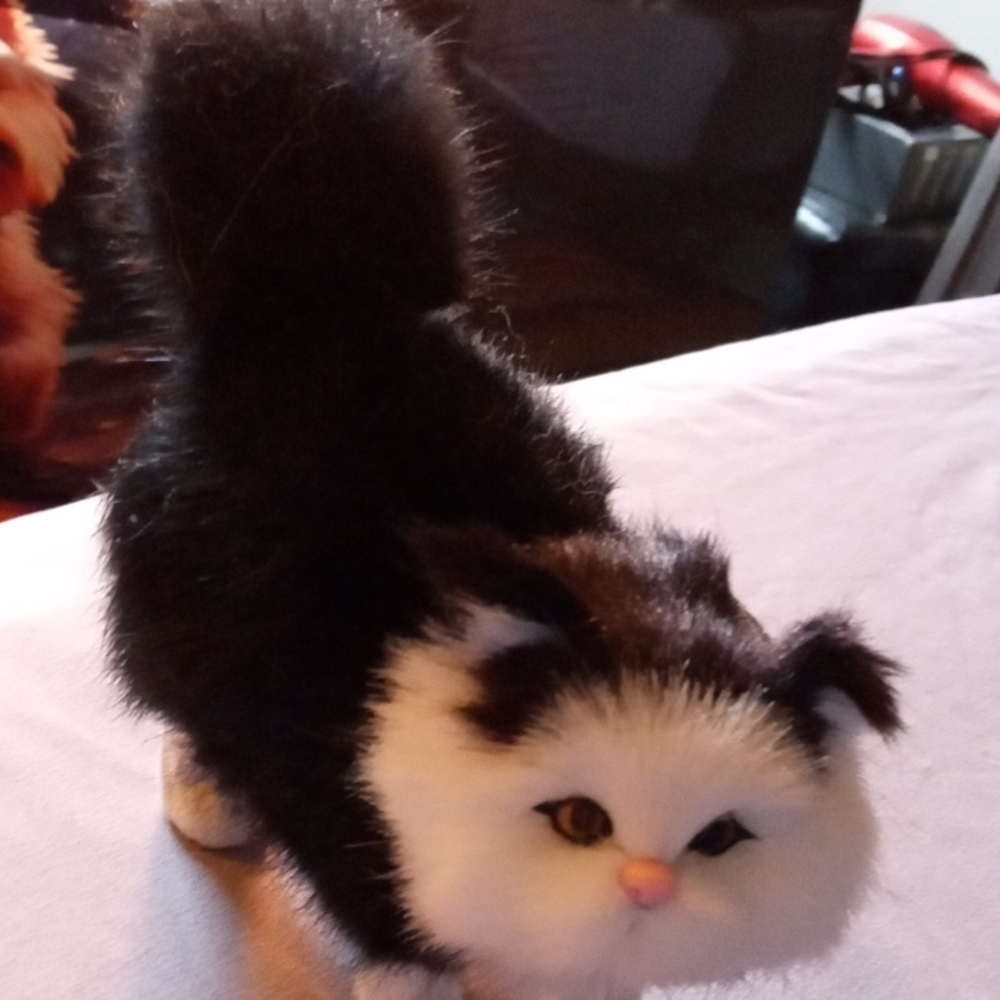 BLACK AND WHITE KITTEN STATUE HANDMADE 5 X 5